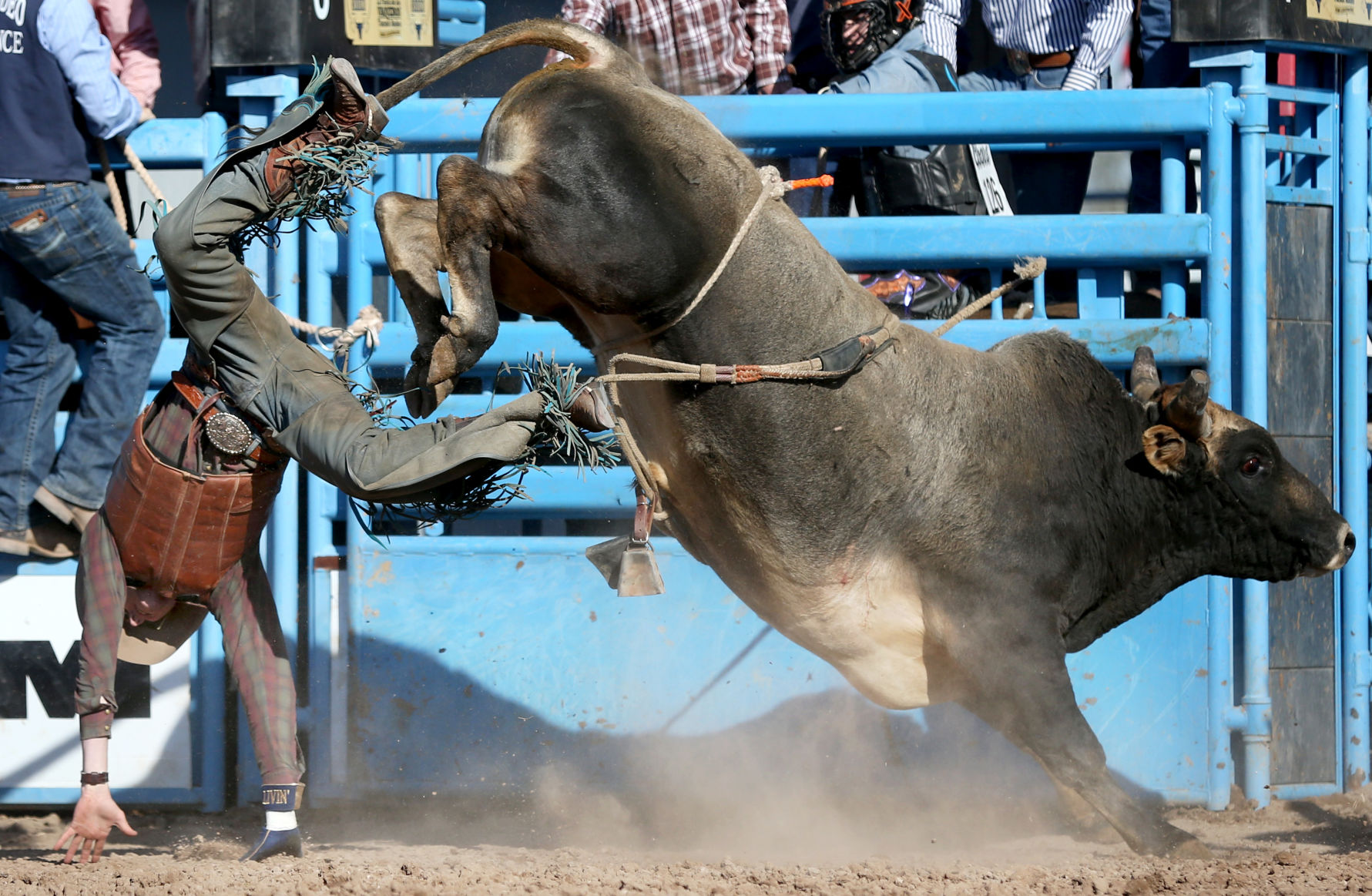 2018 Tucson Rodeo